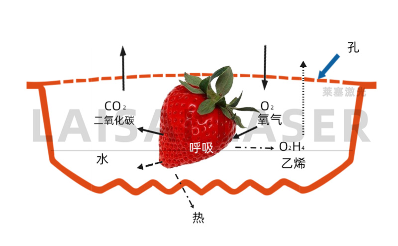 Laser drilling - application solution for modified atmosphere fruit and vegetable fresh-keeping packaging(图3)